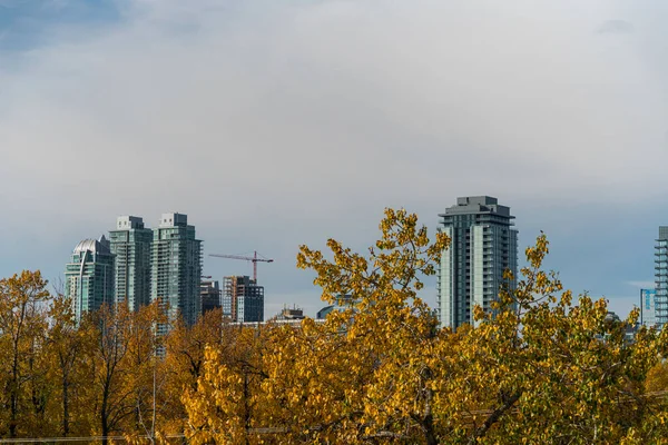 Stadtsilhouette der Innenstadt mit umstürzenden Bäumen im Vordergrund — Stockfoto