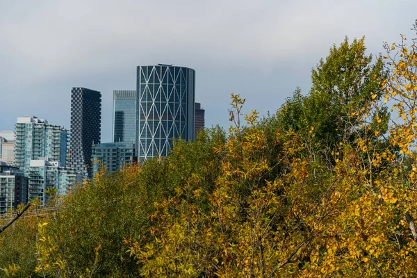 Stadtsilhouette der Innenstadt mit umstürzenden Bäumen im Vordergrund — Stockfoto