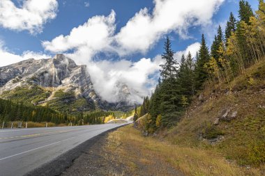 Alberta 'daki kayalık dağların arasından dolambaçlı bir yol.