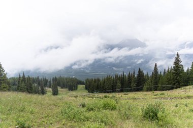 Dağları ve bulutları olan yeşil çayır
