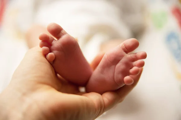 Pequenos Pés Bebê Nas Mãos Das Mães — Fotografia de Stock