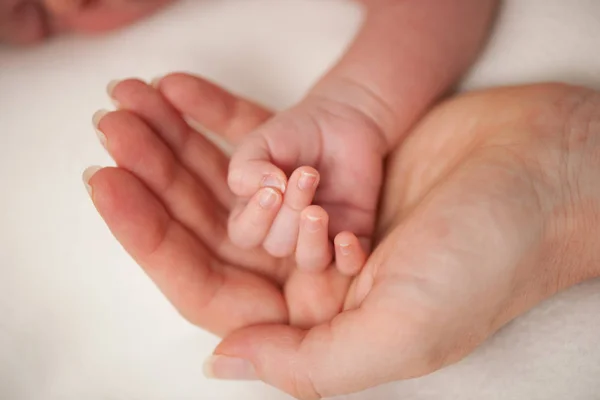 Mamãe Segura Mão Recém Nascida Sua Mão — Fotografia de Stock
