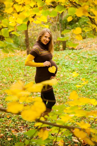Beautiful Pregnant Woman Outdoor Park Autumn Afternoon Vibrant Nature Colors — Stock Photo, Image