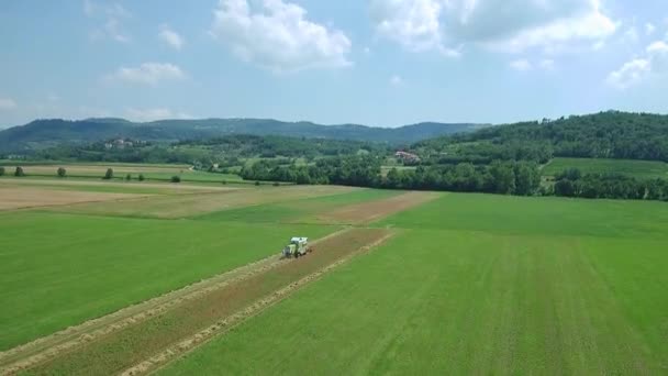 Zemědělství Letecké Záběry Kombinovat Sklizeň Obilí Sklizeň Pšenice — Stock video