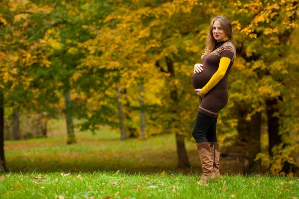 Schöne Schwangere Frau Park Herbstnachmittag Mit Lebendigen Naturfarben Hintergrund — Stockfoto