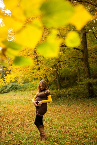 Beautiful Pregnant Woman Outdoor Park Autumn Afternoon Vibrant Nature Colors — Stock Photo, Image