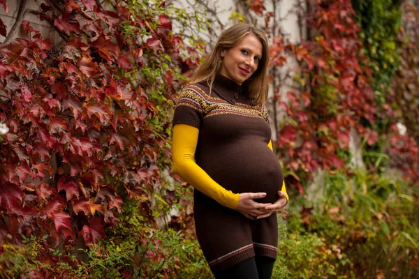 Schöne Schwangere Frau Park Herbstnachmittag Mit Lebendigen Naturfarben Hintergrund — Stockfoto