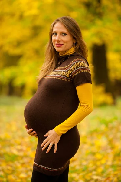Vacker Gravid Kvinna Utomhus Parken Höst Eftermiddag Med Levande Natur — Stockfoto