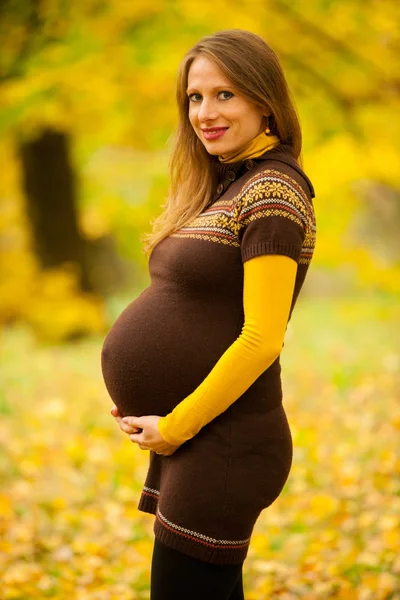 Schöne Schwangere Frau Park Herbstnachmittag Mit Lebendigen Naturfarben Hintergrund — Stockfoto