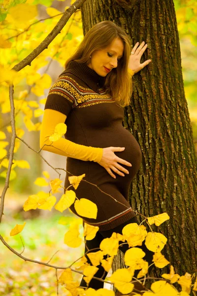 Mooie Zwangere Vrouw Buiten Park Herfst Middag Met Levendige Natuur — Stockfoto
