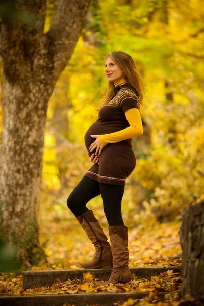 Piękna Kobieta Ciąży Odkryty Parku Jesienne Popołudnie Naturą Żywe Kolory — Zdjęcie stockowe