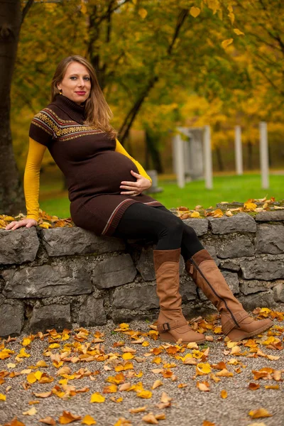 Hermosa Mujer Embarazada Aire Libre Parque Tarde Otoño Con Vibrantes — Foto de Stock