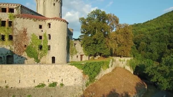 上部外径ブラニーク スロベニア中央ヨーロッパの緑の森の丘の上の中世の Rihemberk 城の空中映像 — ストック動画