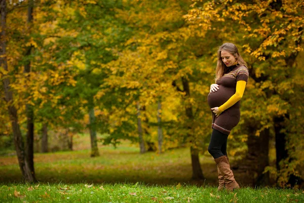 Piękna Kobieta Ciąży Odkryty Parku Jesienne Popołudnie Naturą Żywe Kolory — Zdjęcie stockowe