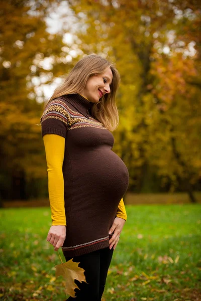Vacker Gravid Kvinna Utomhus Parken Höst Eftermiddag Med Levande Natur — Stockfoto