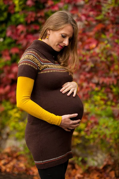 Schöne Schwangere Frau Park Herbstnachmittag Mit Lebendigen Naturfarben Hintergrund — Stockfoto