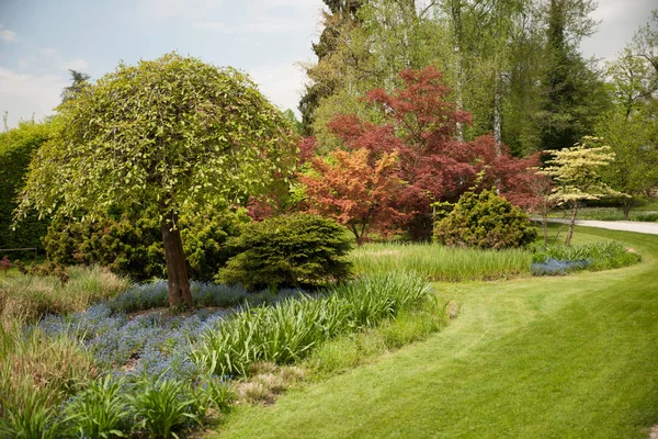 Giardino Roccioso Fiorito Primavera Diversi Cespugli Fiori Che Sbocciano Sulle — Foto Stock