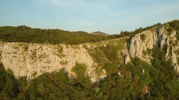 Images Aériennes Montagnes Couvertes Forêts Vertes Europe Centrale — Video