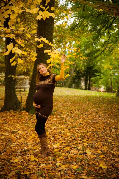 Schöne Schwangere Frau Park Herbstnachmittag Mit Lebendigen Naturfarben Hintergrund — Stockfoto