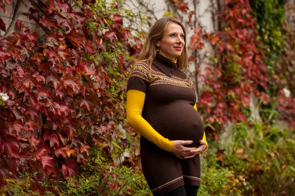 Schöne Schwangere Frau Park Herbstnachmittag Mit Lebendigen Naturfarben Hintergrund — Stockfoto