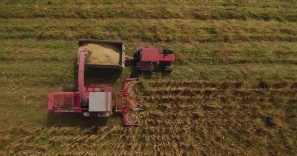 Filmagem Aérea Colheita Milho Com Combinam Trator Campoem Campo — Vídeo de Stock