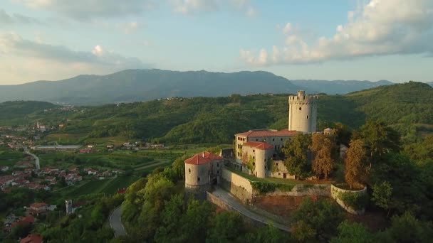 Vista Aérea Del Castillo Medieval Branik Vipava Valle Slovenia Europe — Vídeos de Stock