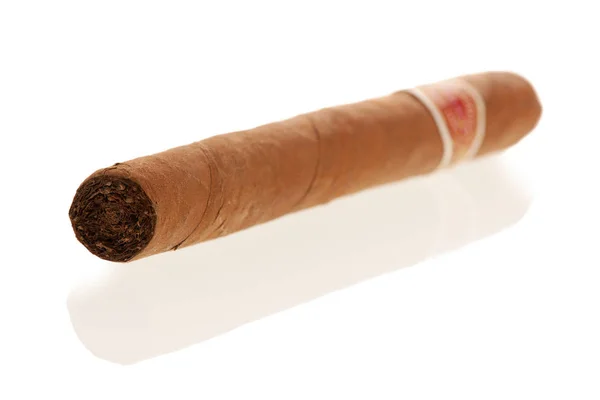 Кубинская Сигара Белом Фоне — стоковое фото