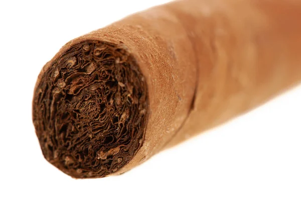 Cuban Cigar Isolated White Background — Stock Photo, Image