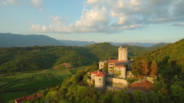 Vista Aérea Del Castillo Medieval Branik Slovenia — Vídeo de stock