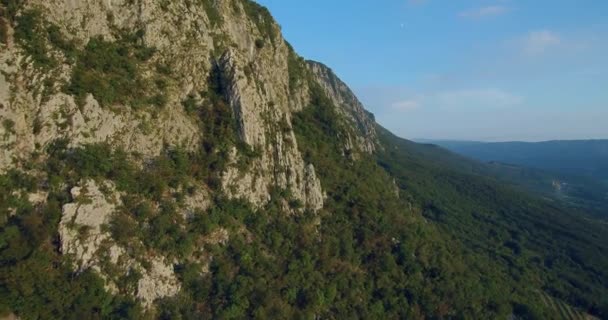 Images Aériennes Chaîne Montagnes Gora Dessus Vallée Vipava Couverte Forêt — Video