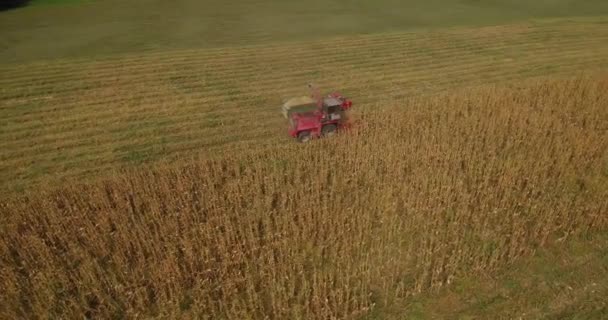 玉米收获 联合和拖拉机收获玉米在夏末 — 图库视频影像