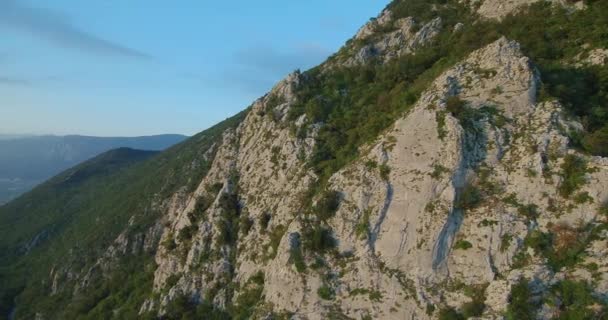 Images Aériennes Chaîne Montagnes Gora Dessus Vallée Vipava Couverte Forêt — Video