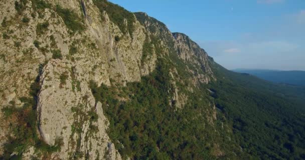 Images Aériennes Chaîne Montagnes Gora Dessus Vallée Vipava Couverte Forêt — Video