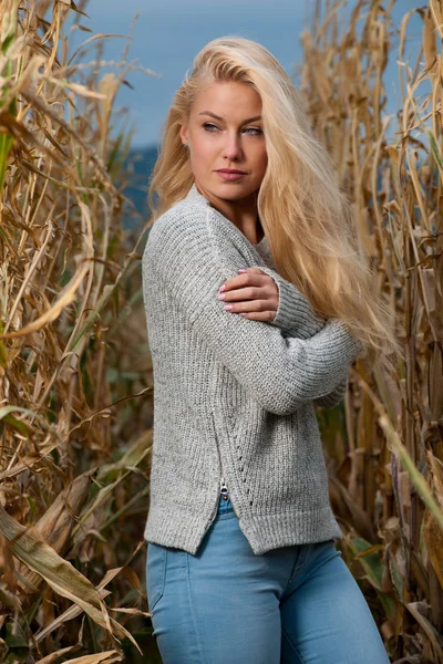 晩秋のトウモロコシ畑にかわいい金髪の女性のブログ スタイルのファッション写真 — ストック写真
