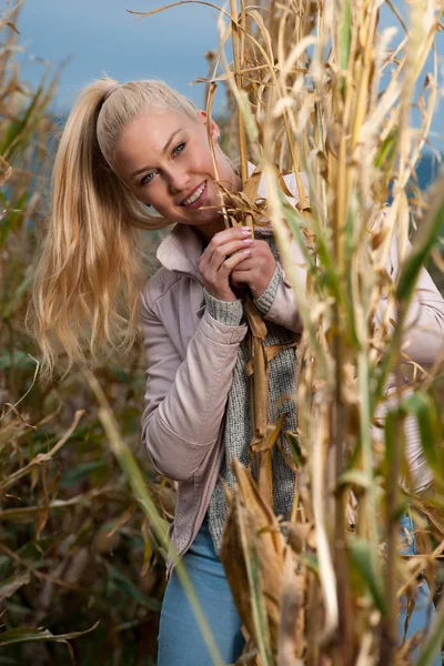 Модное Фото Симпатичной Женщины Кукурузном Поле Поздней Осенью — стоковое фото