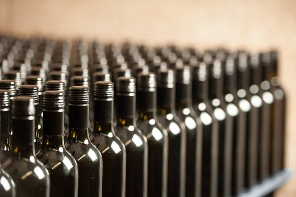 Winecellar Ambalaj Teslimat Için Redy Şarap Şişe — Stok fotoğraf