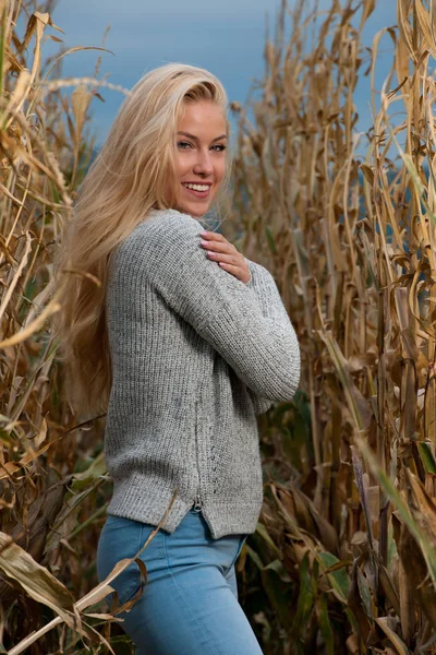 Blog Style Fashion Photo Cute Blond Woman Corn Field Late — Stock Photo, Image