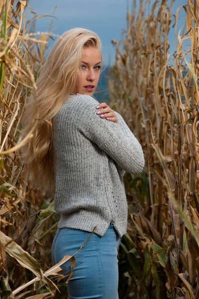 Blog Foto Moda Stile Carina Donna Bionda Sul Campo Mais — Foto Stock