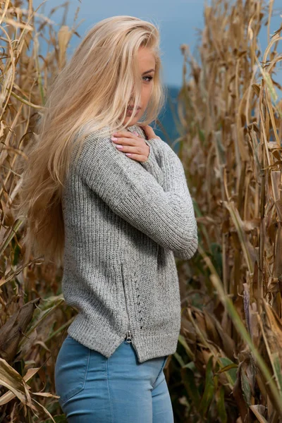 晩秋のトウモロコシ畑にかわいい金髪の女性のブログ スタイルのファッション写真 — ストック写真