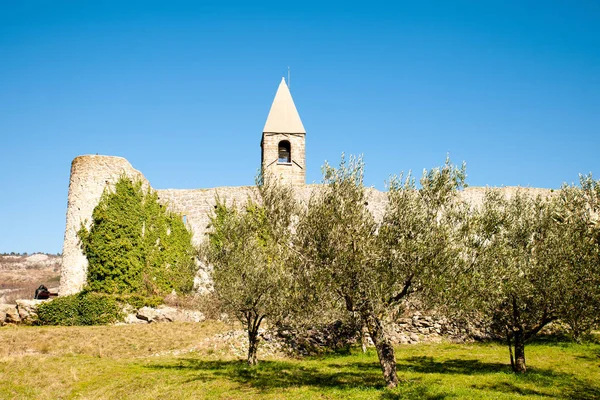 Enclavamiento Olivo Santa Trinidad Iglesia Fortaleza Hrastovlje Eslovenia Europa Central — Foto de Stock