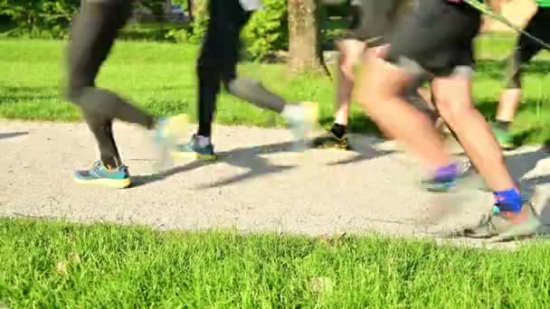 Läuferinnen Und Läufer Beim Ultra Trail Lauf Detail Der Beine — Stockvideo