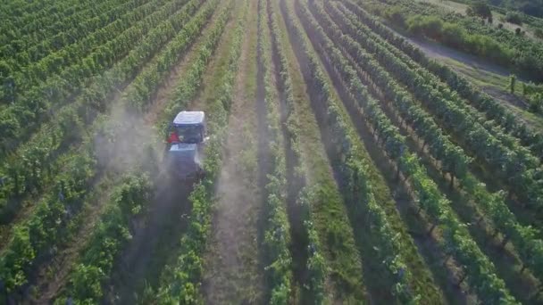 Vue Aérienne Tracteur Pulvérisant Des Vignes Dans Vignoble Tôt Matin — Video