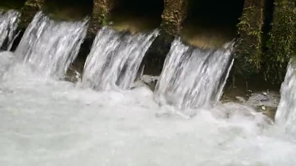 Wonderful Fresh Water Rapids Waterfalls River Flowing Forest Early Sprting — Stock Video