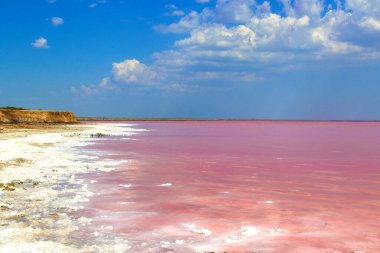 Ukrayna 'daki güzel pembe su tuzlu gölü manzarası. Yaz güneşli bir gün, mavi gökyüzü, bulutlu, panoramik manzaralı