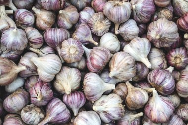 Sarımsak arkaplan. Bol sarımsaklı yemek arkaplanı. Seçici odaklanma, yakın çekim, üst görüş. Hasat konsepti