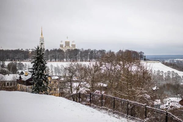 Владимир Зимой Фото