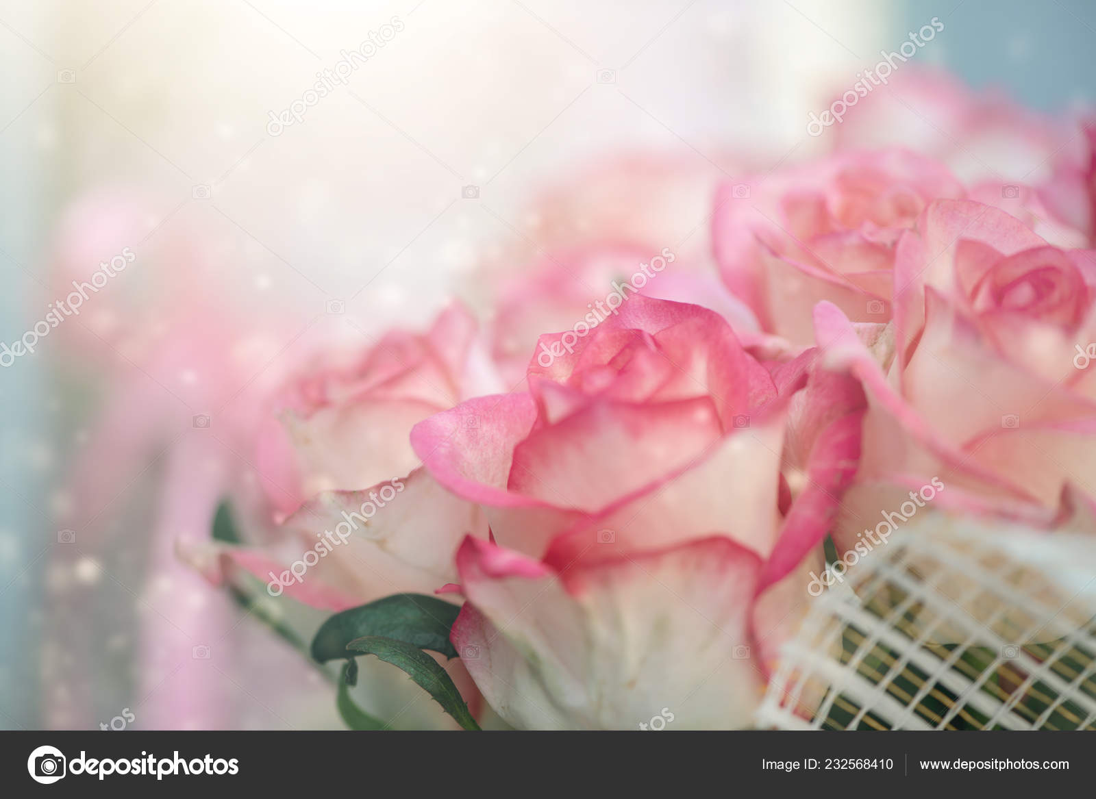 ぼけの花背景をぼかし ピンクのバラの休日のテクスチャ ストック写真 C Katalinks ぼけの花背景をぼかし ピンクのバラの休日のテクスチャ ストック写真 C Katalinks
