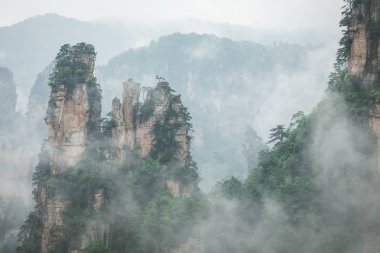 Zhangjiajie Forest Park. Kanyon yükselen dev ayağı dağlar. Hunan eyaleti, Çin.
