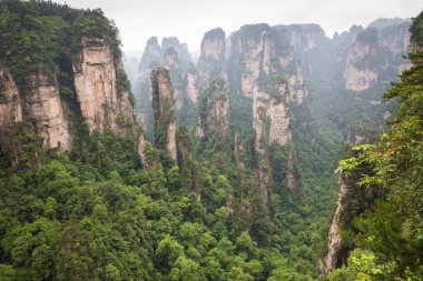 Zhangjiajie Forest Park. Kanyon yükselen dev ayağı dağlar. Hunan eyaleti, Çin.
