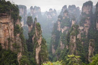 Zhangjiajie Forest Park. Kanyon yükselen dev ayağı dağlar. Hunan eyaleti, Çin.